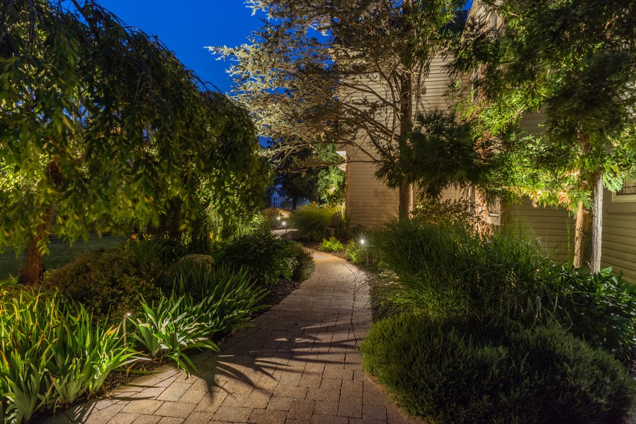  illuminated outdoor walking path with green foliage and Coastal Source light fixtures