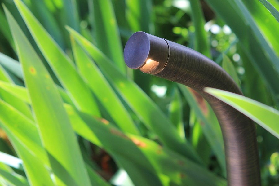 Coastal Source Flex Niche lighting fixture hiding among green grass.