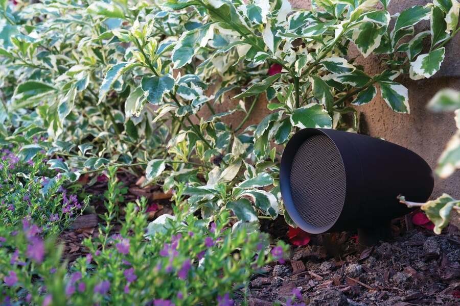 A Sonance Patio series speaker blends into the landscape.