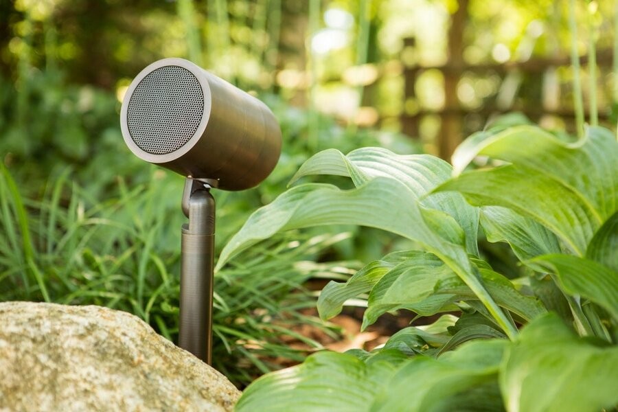 A Coastal Source outdoor speaker among the foliage.