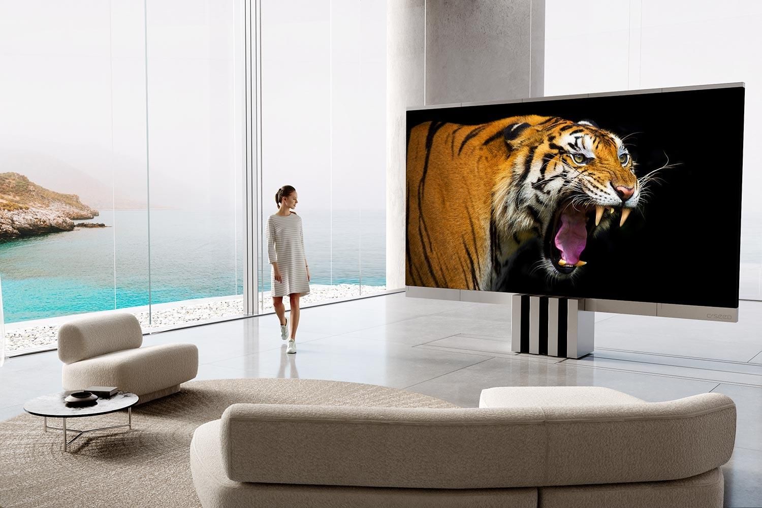 big screen in a modern living room